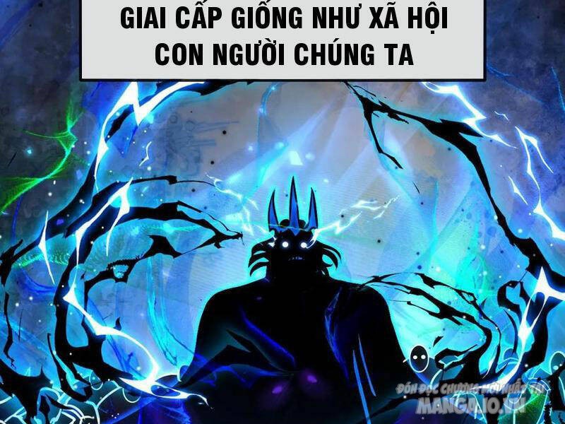 Nhìn Thấy Thanh Máu, Ta Có Thể Tử Hình Thần Minh Chapter 157 - Trang 2