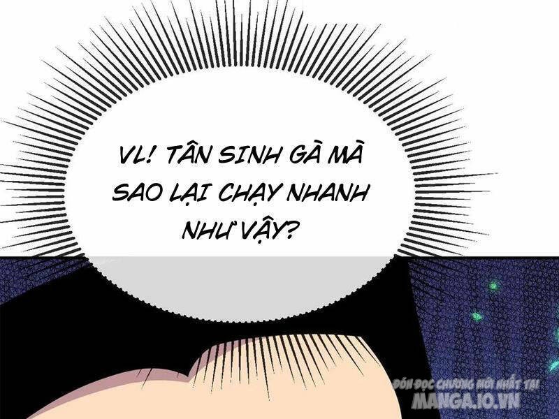 Nhìn Thấy Thanh Máu, Ta Có Thể Tử Hình Thần Minh Chapter 135 - Trang 2