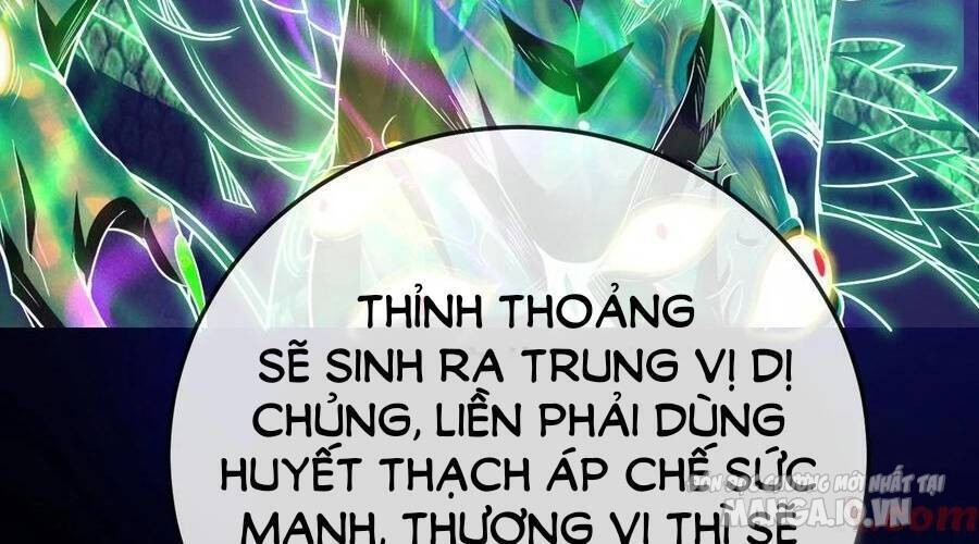 Nhìn Thấy Thanh Máu, Ta Có Thể Tử Hình Thần Minh Chapter 107 - Trang 2