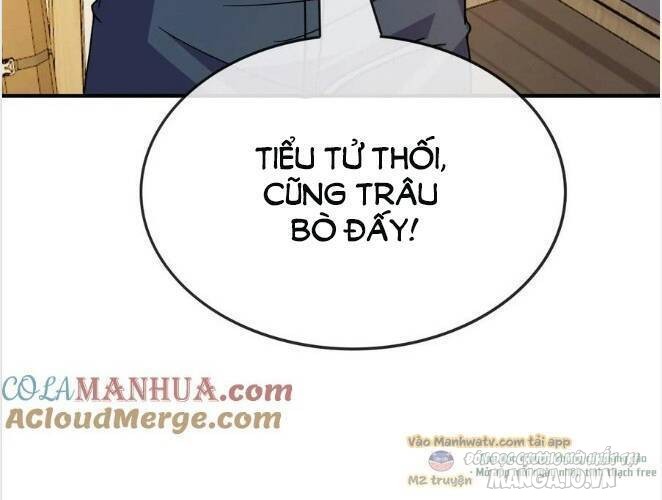 Nhìn Thấy Thanh Máu, Ta Có Thể Tử Hình Thần Minh Chapter 98 - Trang 2