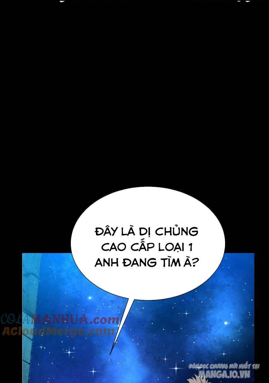 Nhìn Thấy Thanh Máu, Ta Có Thể Tử Hình Thần Minh Chapter 74 - Trang 2