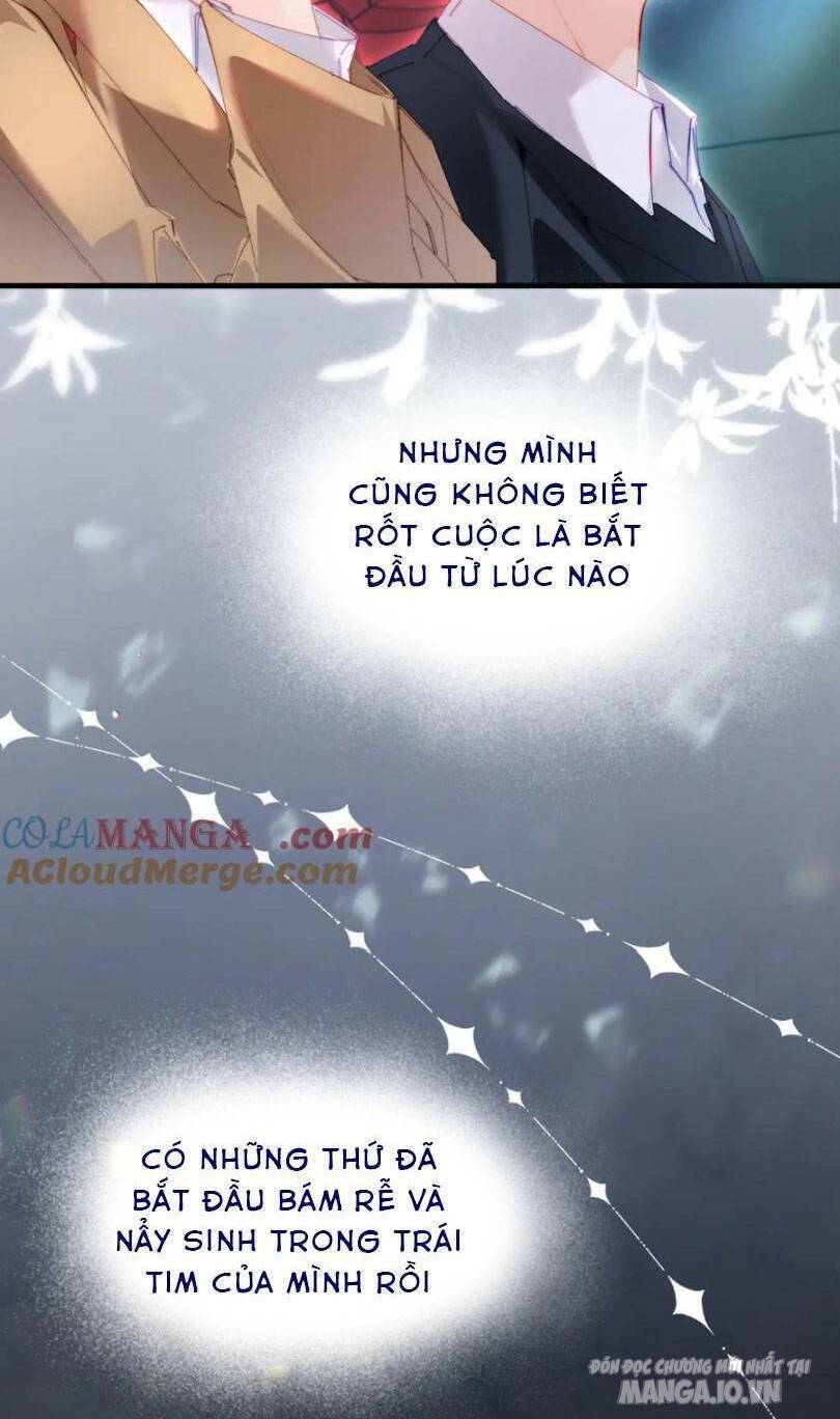 Vợ Chồng Siêu Sao Có Chút Ngọt Chapter 82 - Trang 2