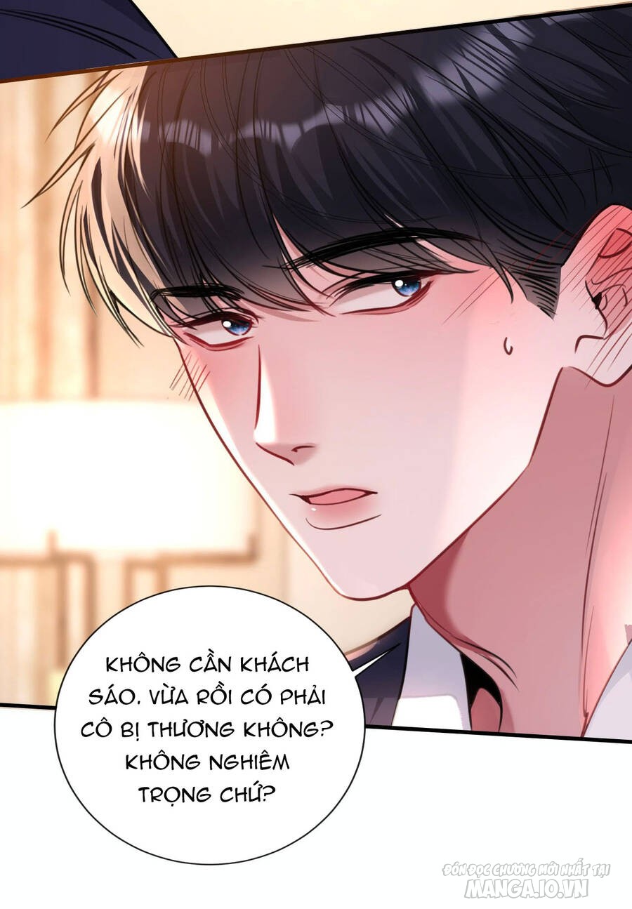 Xin Lỗi, Tôi Cũng Là Lão Đại Chapter 11 - Trang 2