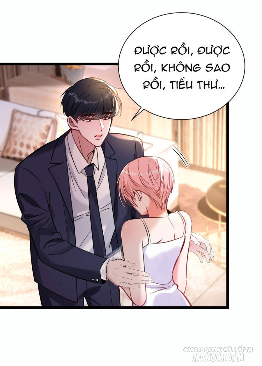 Xin Lỗi, Tôi Cũng Là Lão Đại Chapter 10 - Trang 2