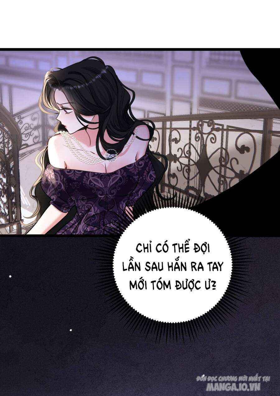 Xin Lỗi, Tôi Cũng Là Lão Đại Chapter 8 - Trang 2