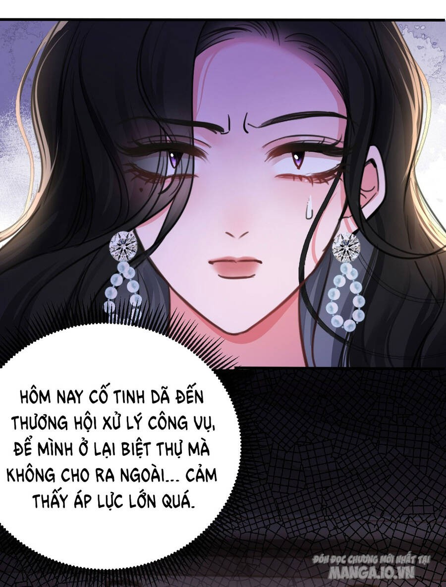 Xin Lỗi, Tôi Cũng Là Lão Đại Chapter 7 - Trang 2