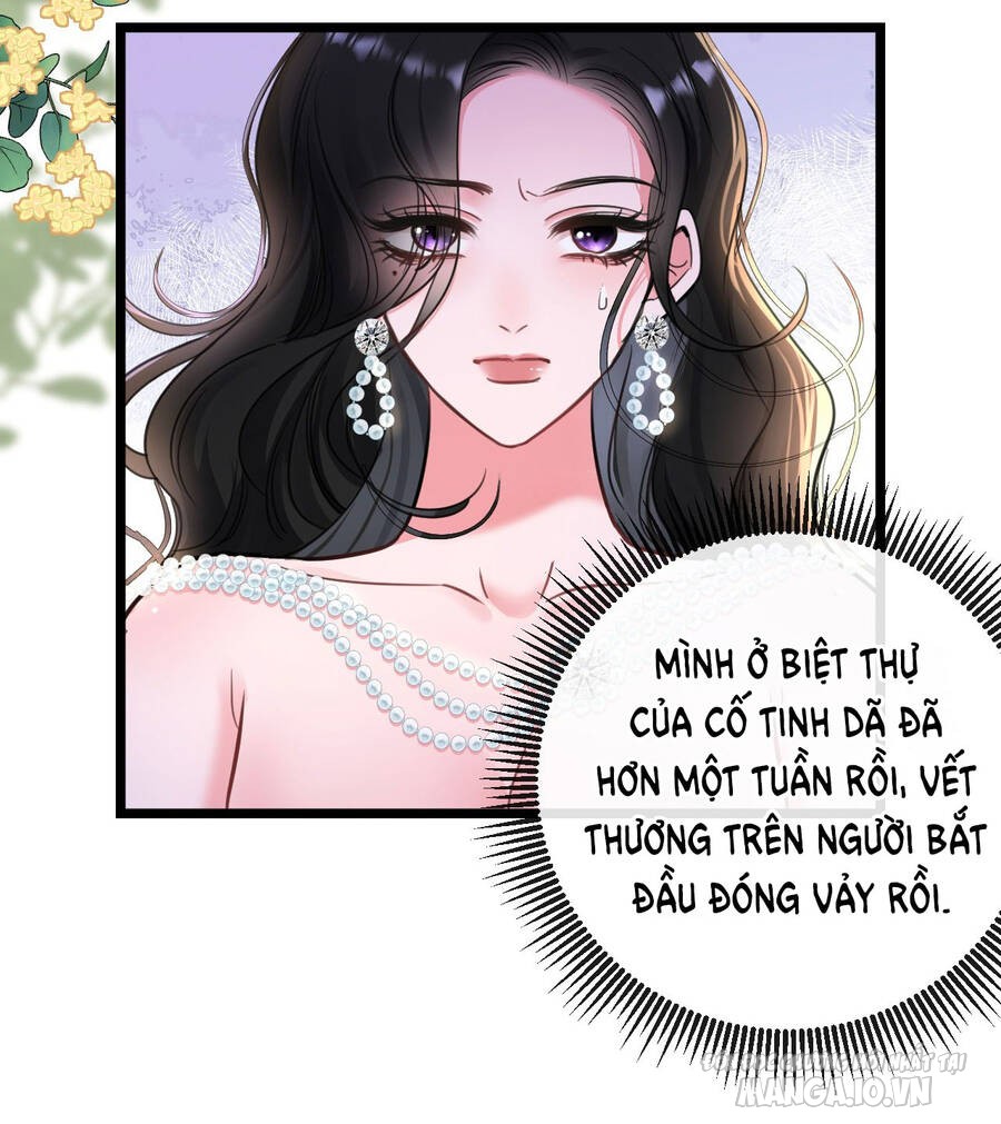 Xin Lỗi, Tôi Cũng Là Lão Đại Chapter 7 - Trang 2