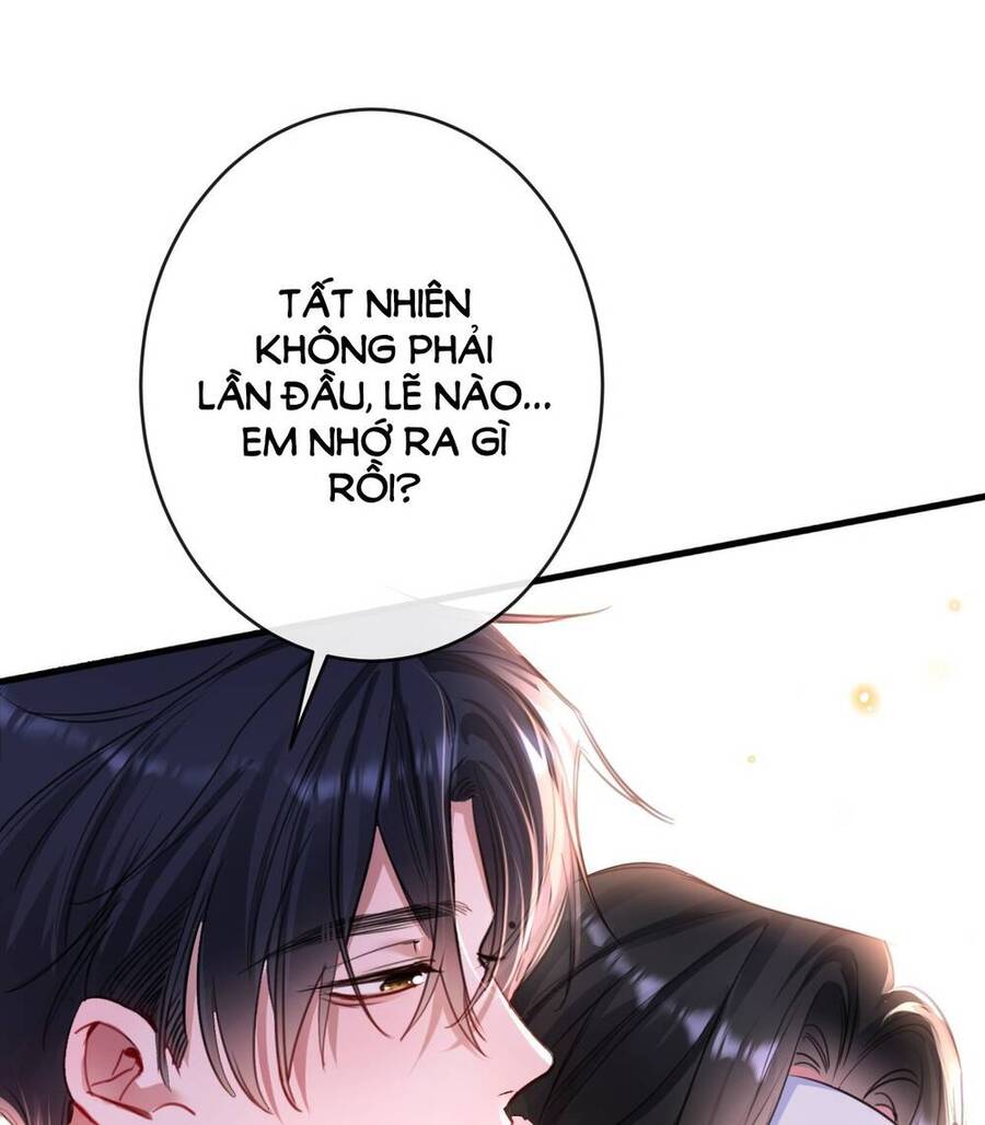 Xin Lỗi, Tôi Cũng Là Lão Đại Chapter 3 - Trang 2