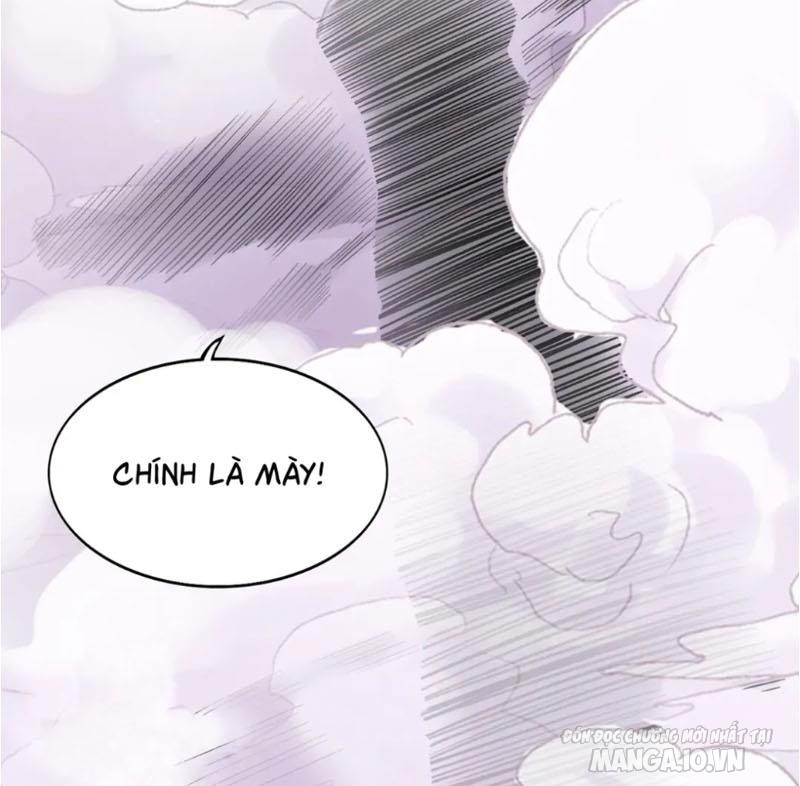 Khế Ước Thú Của Ta Là Chó Mực Chapter 8 - Trang 2