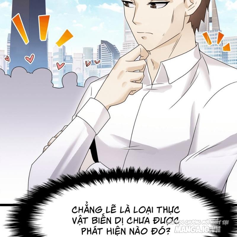 Khế Ước Thú Của Ta Là Chó Mực Chapter 3 - Trang 2