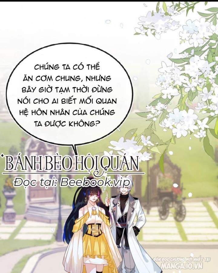 Vừa Từ Hôn Đã Bị Hồ Ly Lừa Vào Cục Dân Chính Chapter 8 - Trang 2