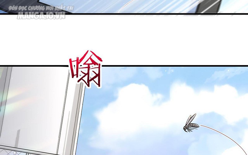 Hệ Thống Chiến Đấu Vô Địch Chapter 19 - Trang 2