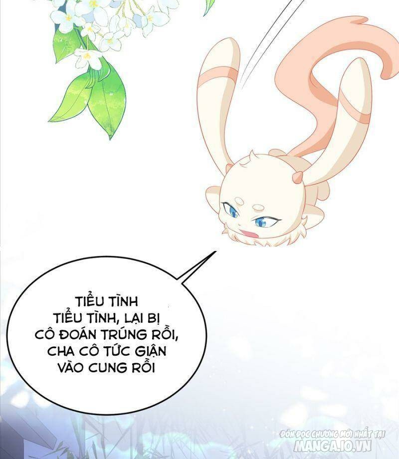 Siêu Cấp: Hệ Thống Trà Xanh Chapter 16 - Trang 2