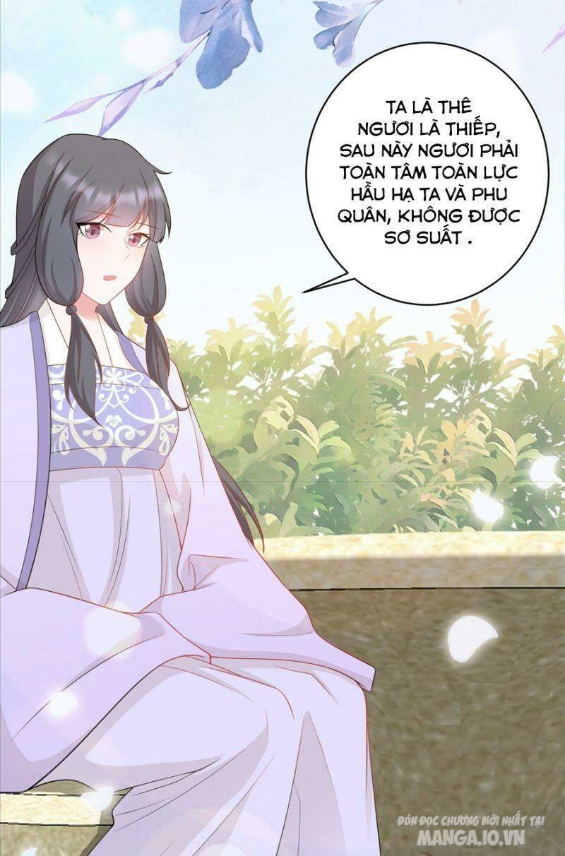 Siêu Cấp: Hệ Thống Trà Xanh Chapter 16 - Trang 2