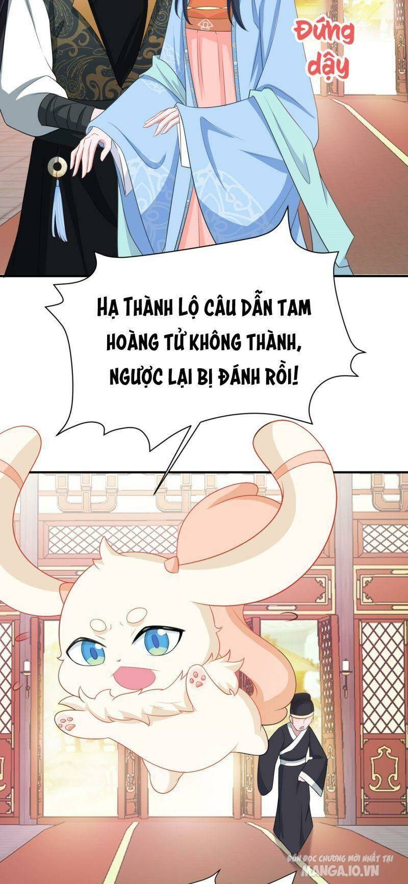 Siêu Cấp: Hệ Thống Trà Xanh Chapter 13 - Trang 2