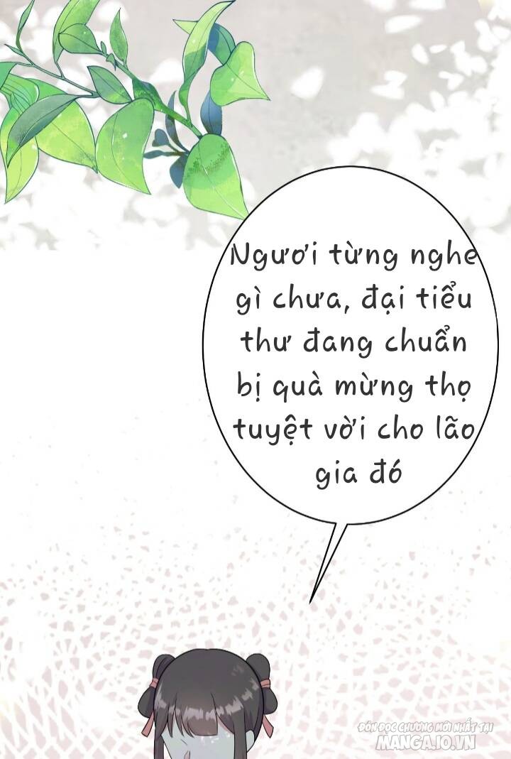 Siêu Cấp: Hệ Thống Trà Xanh Chapter 3 - Trang 2