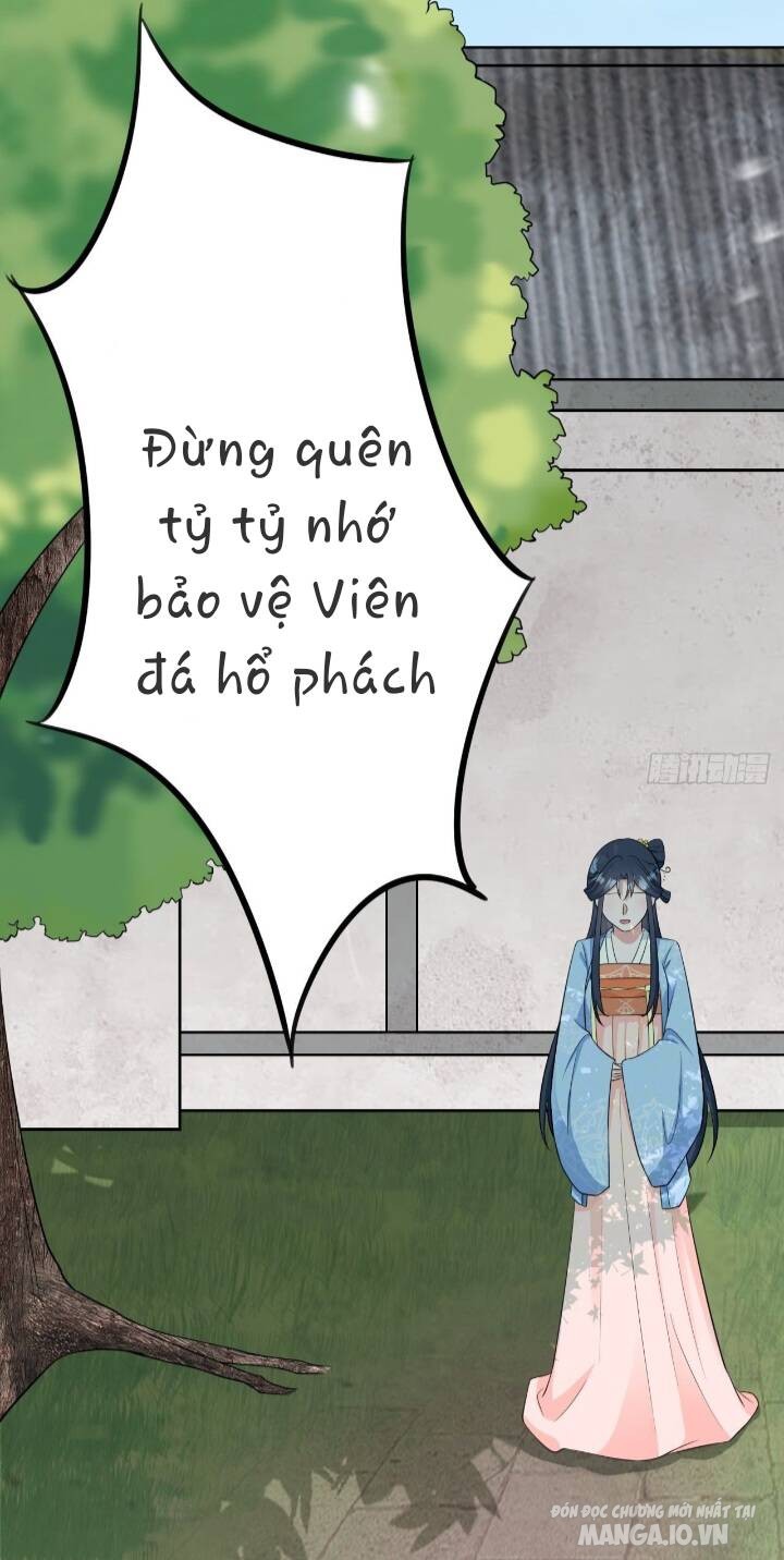 Siêu Cấp: Hệ Thống Trà Xanh Chapter 3 - Trang 2