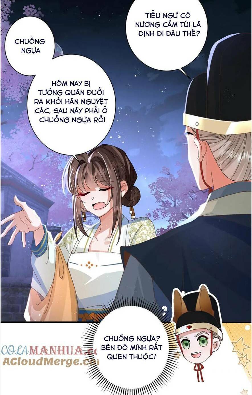 Phượng Hoàng Quy Hồi Chapter 15 - Trang 2