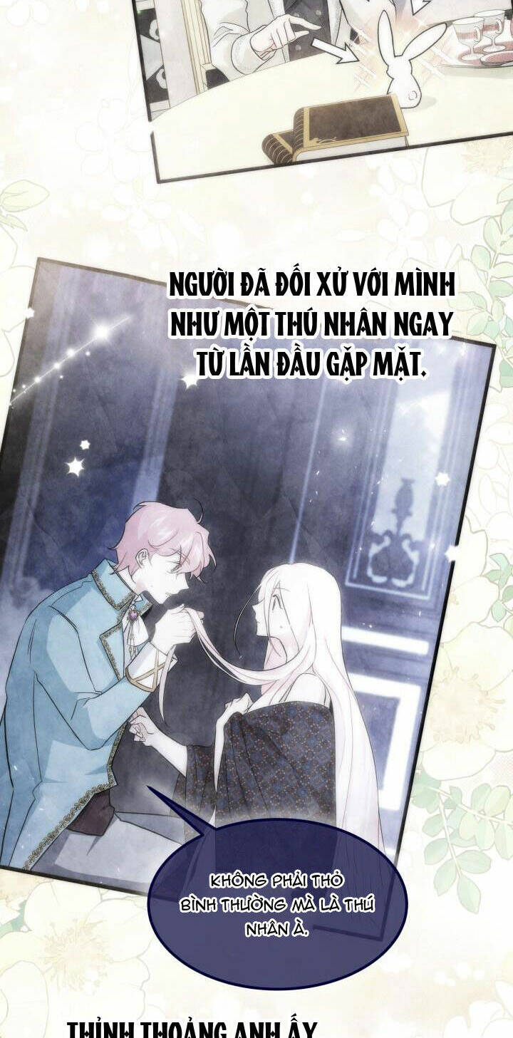 Mối Liên Kết Giữa Báo Đen Và Bé Thỏ Chapter 108 - Trang 2