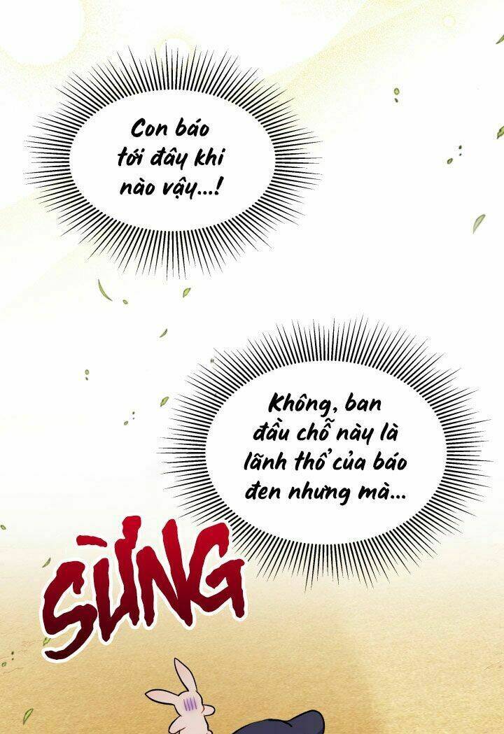 Mối Liên Kết Giữa Báo Đen Và Bé Thỏ Chapter 23 - Trang 2