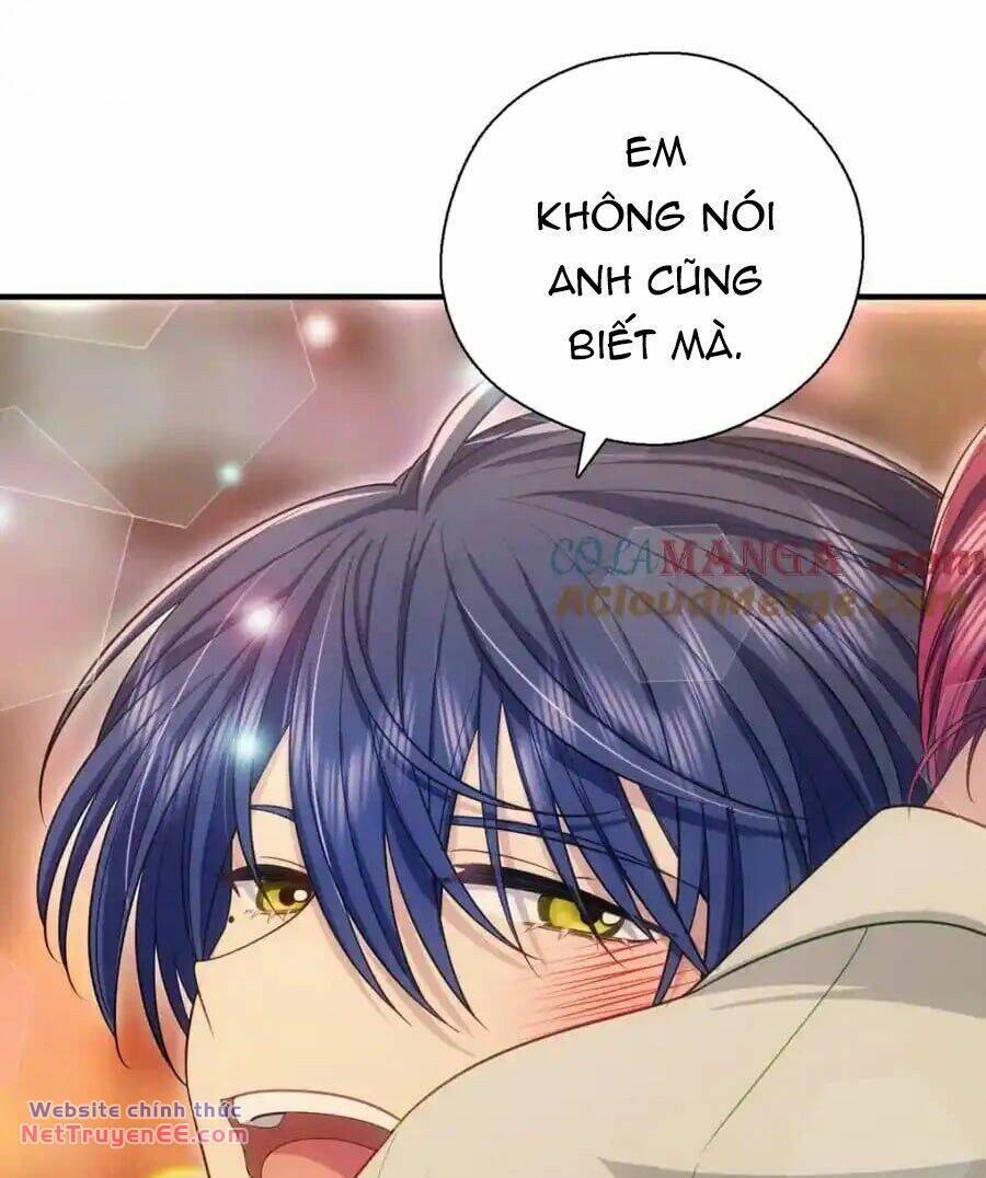 Vợ Ơi, Xin Hãy Ngoan Ngoãn Nhé Chapter 43 - Trang 2