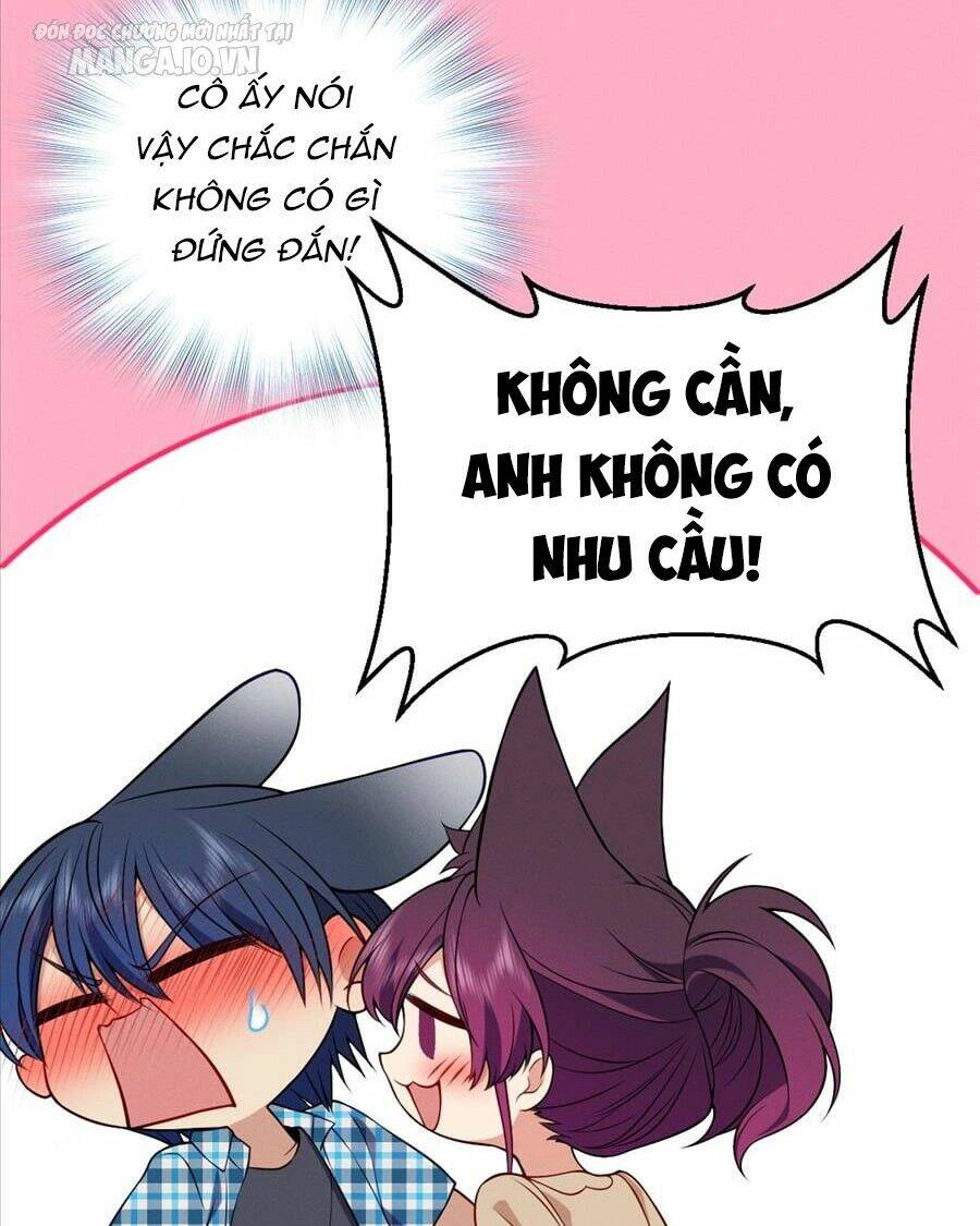 Vợ Ơi, Xin Hãy Ngoan Ngoãn Nhé Chapter 23 - Trang 2