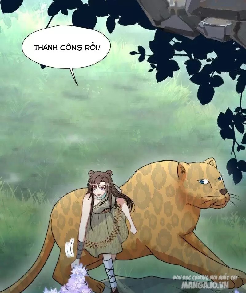 Hoảng Hốt Sau Khi Xuyên Thành Kiều Thê Của Thú Nhân Chapter 380 - Trang 2