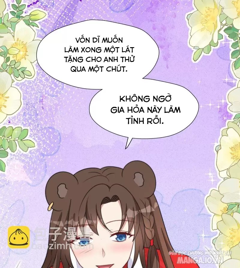 Hoảng Hốt Sau Khi Xuyên Thành Kiều Thê Của Thú Nhân Chapter 338 - Trang 2