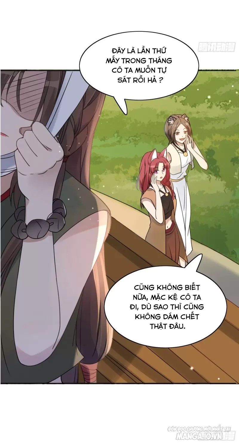 Hoảng Hốt Sau Khi Xuyên Thành Kiều Thê Của Thú Nhân Chapter 1 - Trang 2