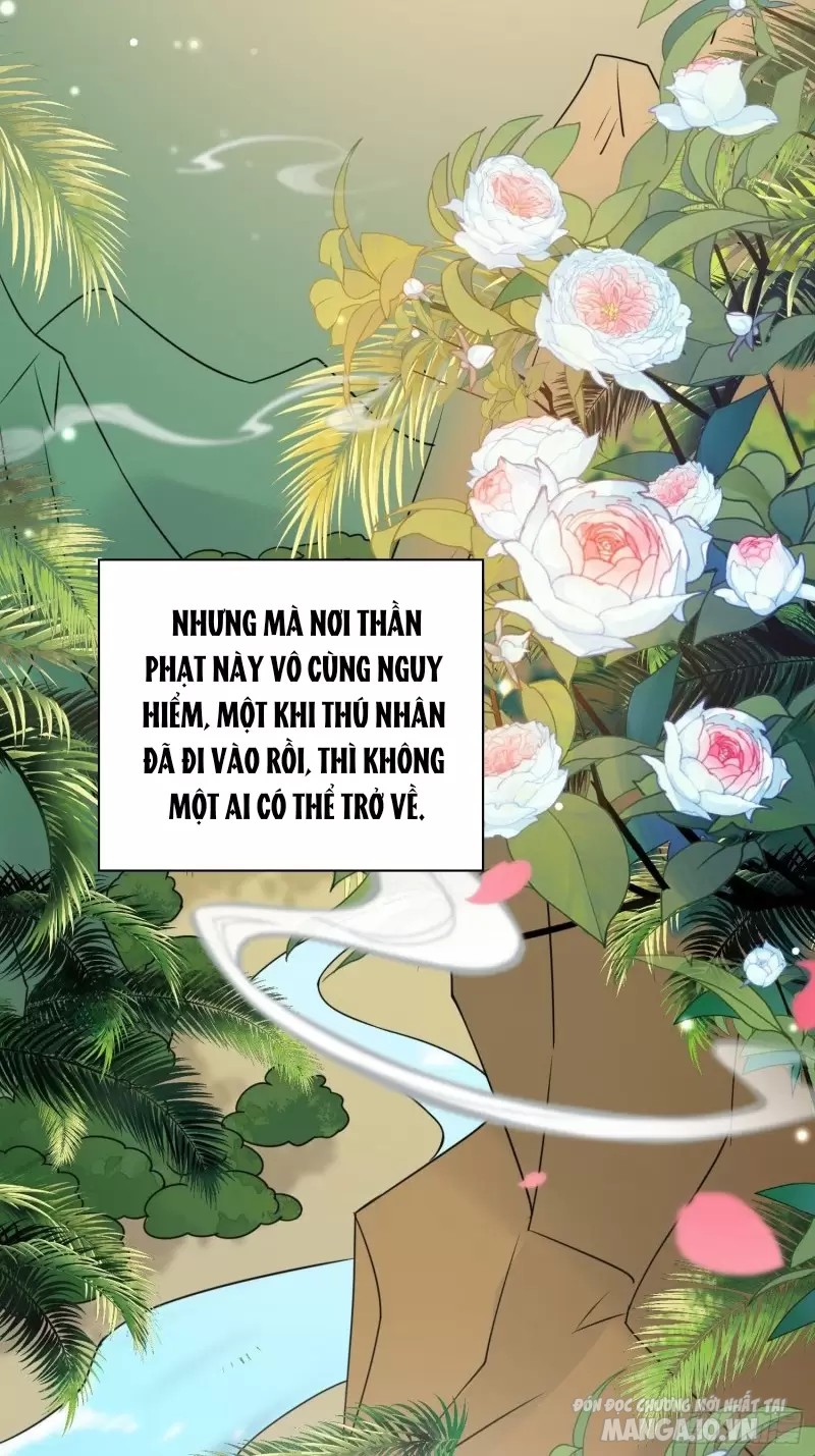 Hoảng Hốt Sau Khi Xuyên Thành Kiều Thê Của Thú Nhân Chapter 1 - Trang 2