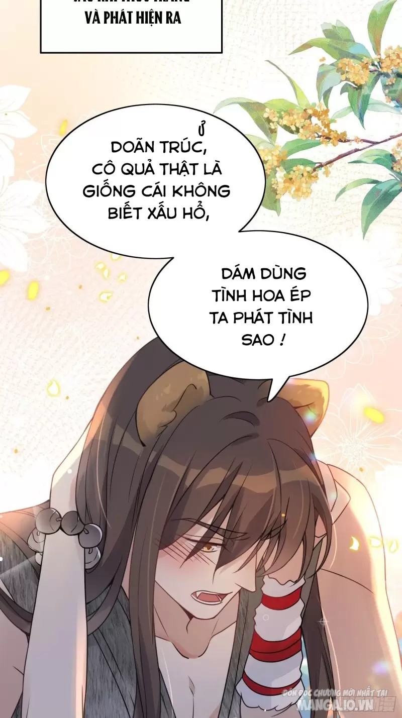 Hoảng Hốt Sau Khi Xuyên Thành Kiều Thê Của Thú Nhân Chapter 1 - Trang 2