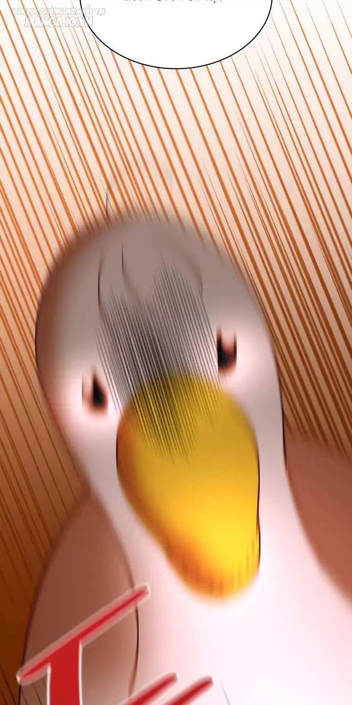 Mong Mỏi Cái Chết Chapter 17 - Trang 2