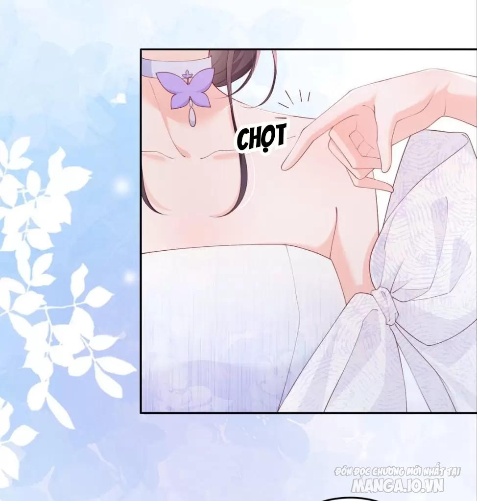 Mận Xanh Chapter 90 - Trang 2