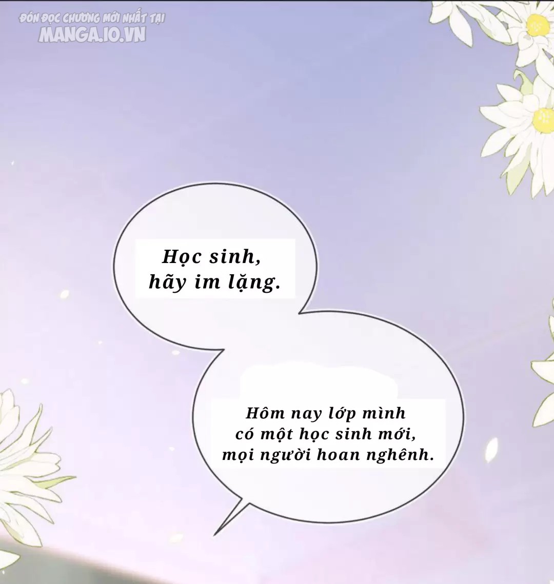 Mận Xanh Chapter 8 - Trang 2