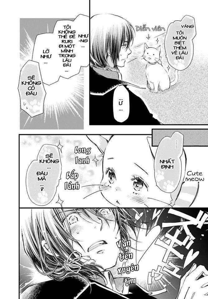 Fukushuu Wo Chikatta Shironeko Wa Ryuuou No Hiza No Jou De Damin Wo Musaboru Chapter 14 - Trang 2