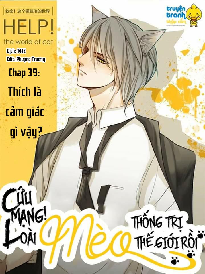 Cứu Mạng! Loài Mèo Thống Trị Thế Giới Rồi! Chapter 39 - Trang 2