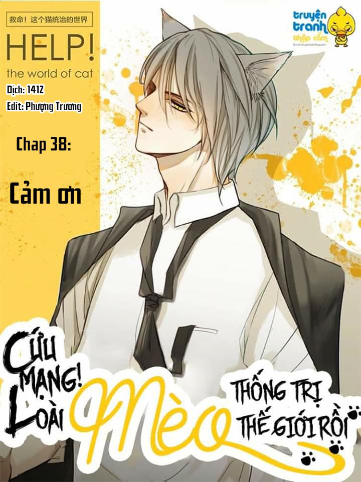 Cứu Mạng! Loài Mèo Thống Trị Thế Giới Rồi! Chapter 38 - Trang 2