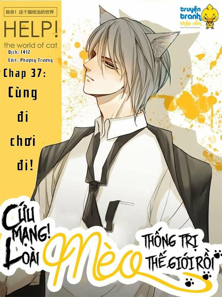 Cứu Mạng! Loài Mèo Thống Trị Thế Giới Rồi! Chapter 37 - Trang 2