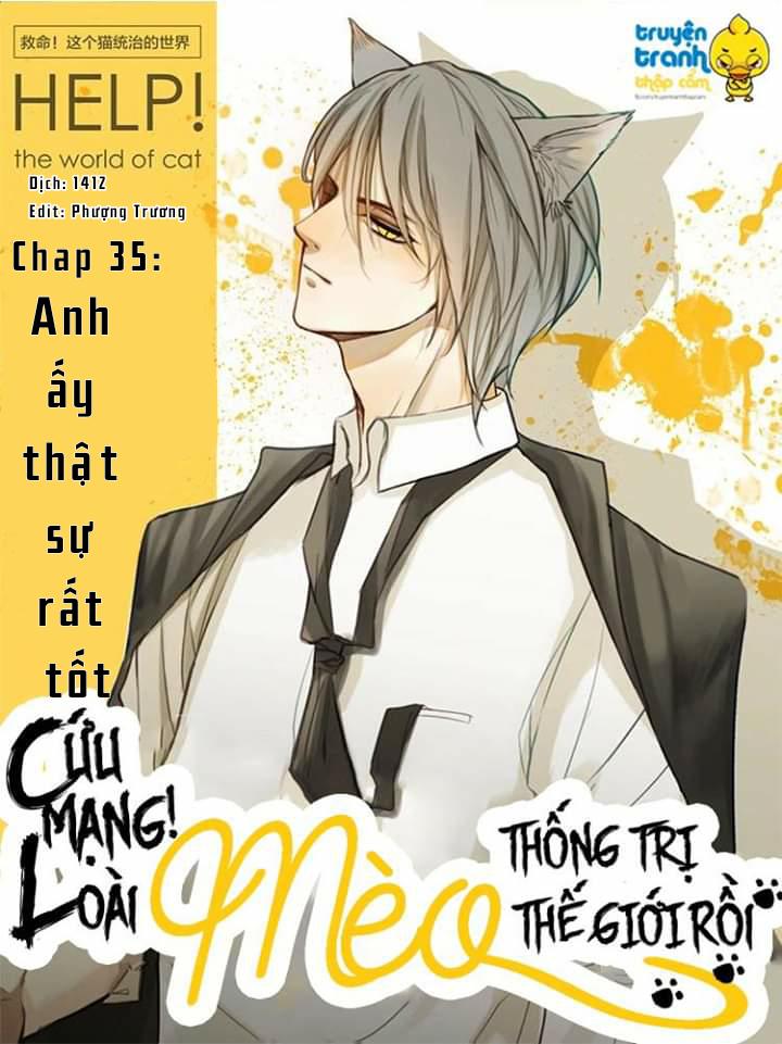 Cứu Mạng! Loài Mèo Thống Trị Thế Giới Rồi! Chapter 35 - Trang 2