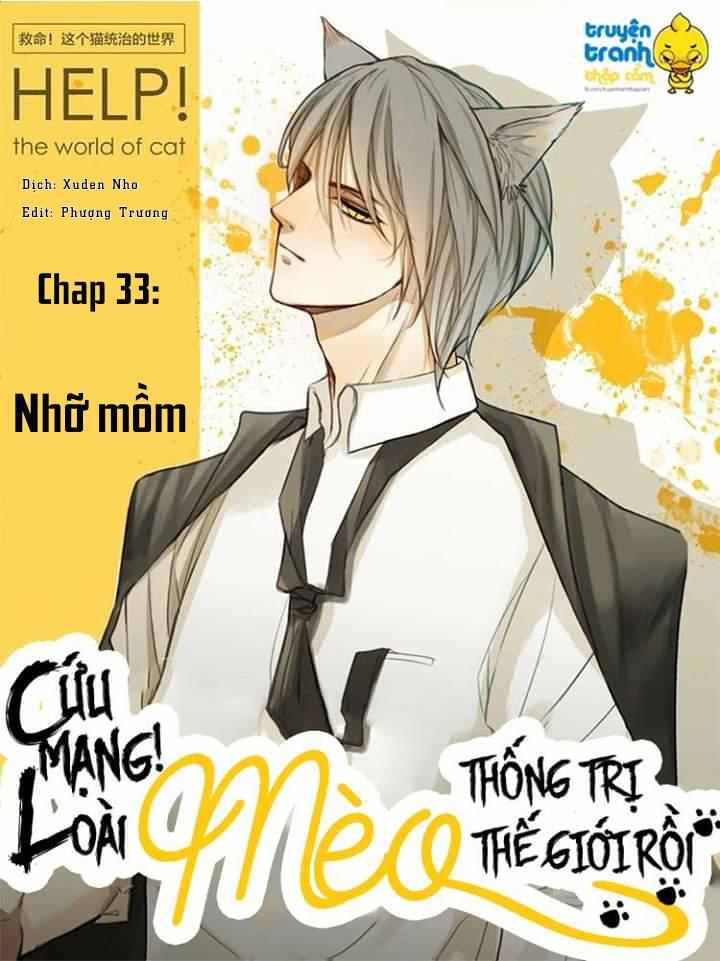 Cứu Mạng! Loài Mèo Thống Trị Thế Giới Rồi! Chapter 33 - Trang 2