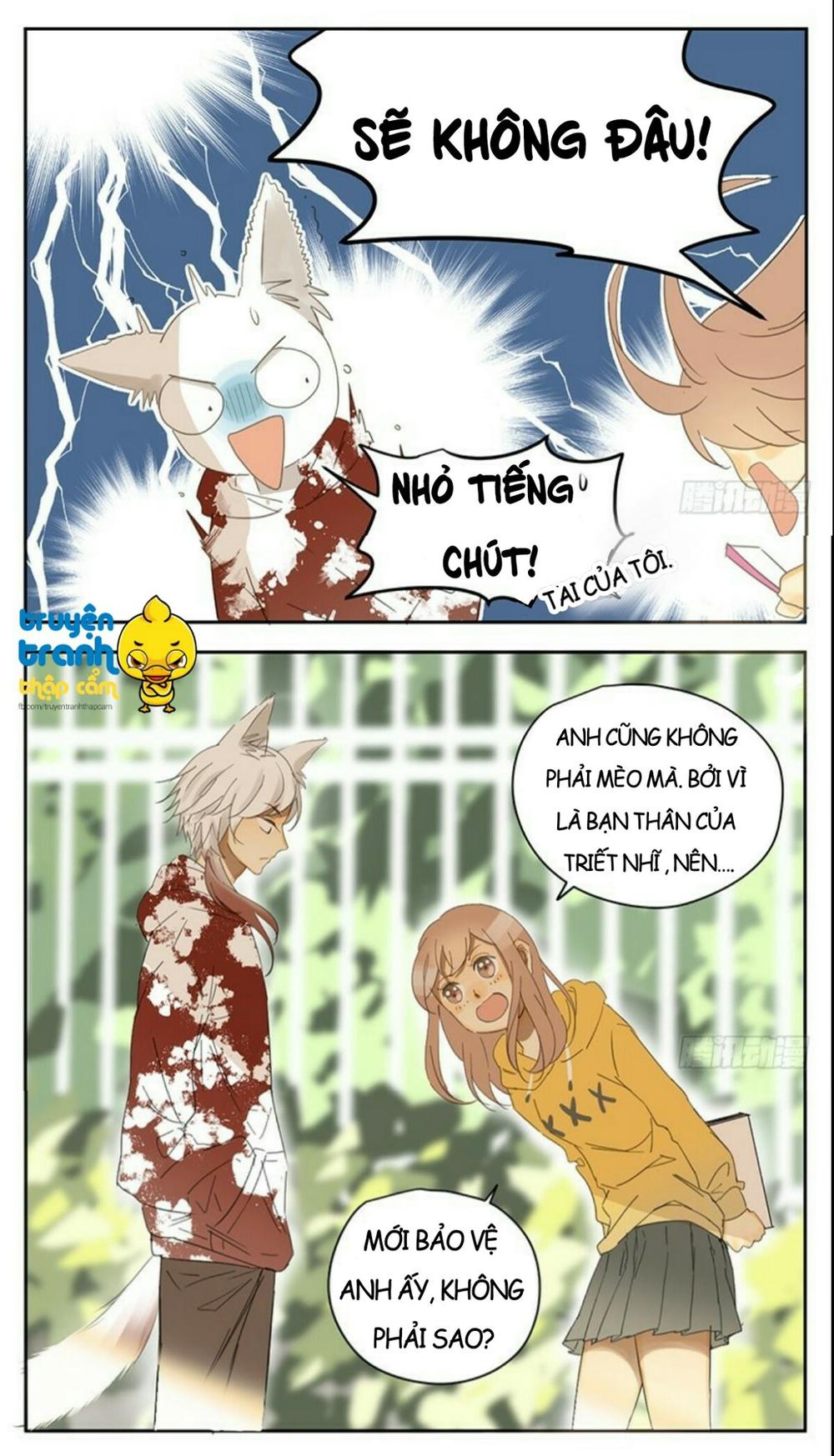 Cứu Mạng! Loài Mèo Thống Trị Thế Giới Rồi! Chapter 33 - Trang 2