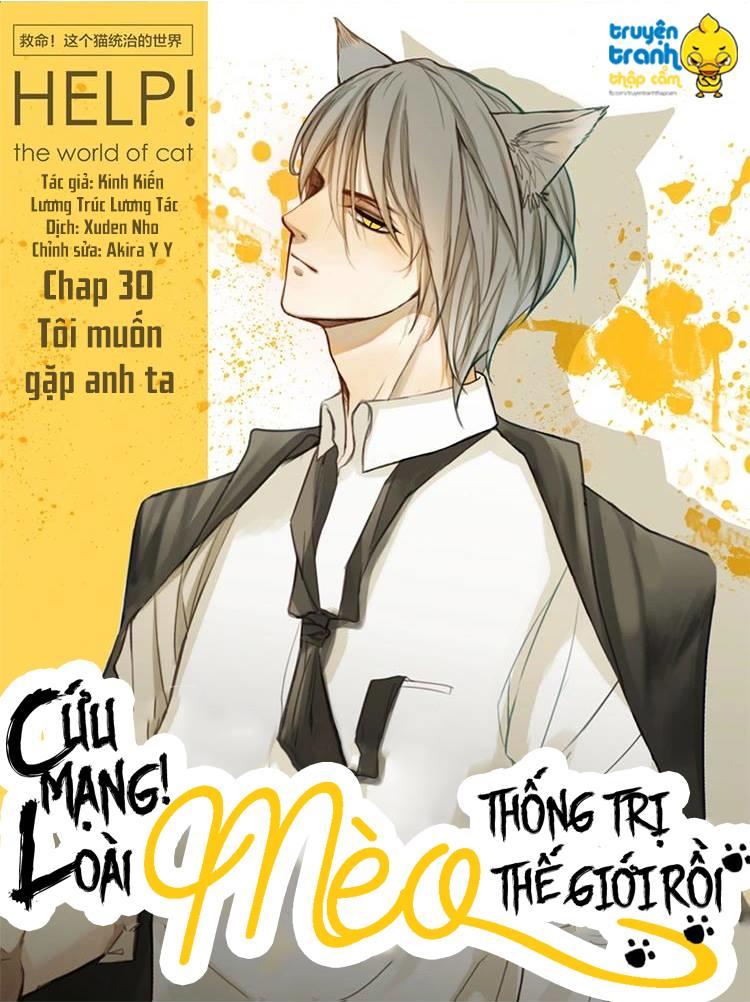 Cứu Mạng! Loài Mèo Thống Trị Thế Giới Rồi! Chapter 30 - Trang 2