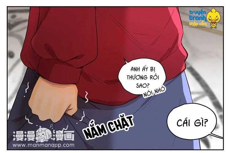 Cứu Mạng! Loài Mèo Thống Trị Thế Giới Rồi! Chapter 30 - Trang 2