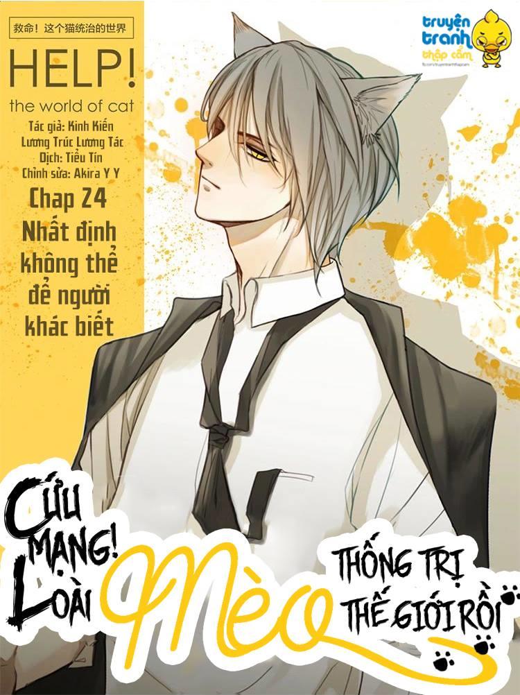 Cứu Mạng! Loài Mèo Thống Trị Thế Giới Rồi! Chapter 24 - Trang 2