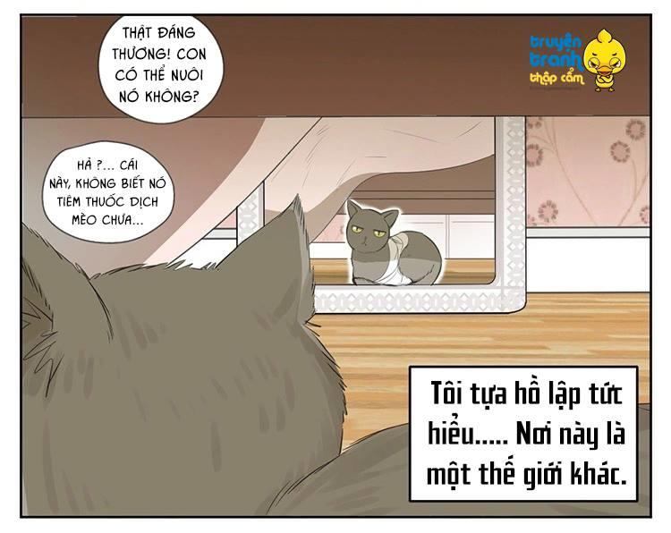 Cứu Mạng! Loài Mèo Thống Trị Thế Giới Rồi! Chapter 24 - Trang 2