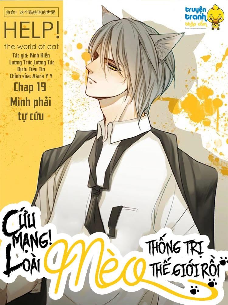 Cứu Mạng! Loài Mèo Thống Trị Thế Giới Rồi! Chapter 19 - Trang 2