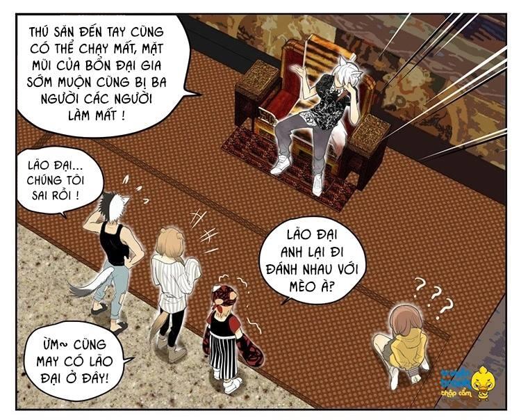 Cứu Mạng! Loài Mèo Thống Trị Thế Giới Rồi! Chapter 19 - Trang 2