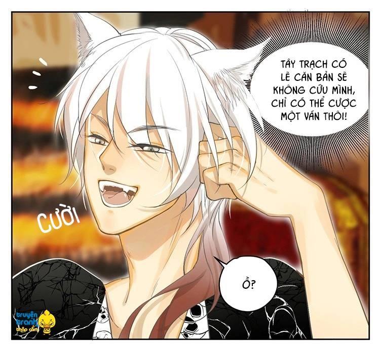 Cứu Mạng! Loài Mèo Thống Trị Thế Giới Rồi! Chapter 19 - Trang 2