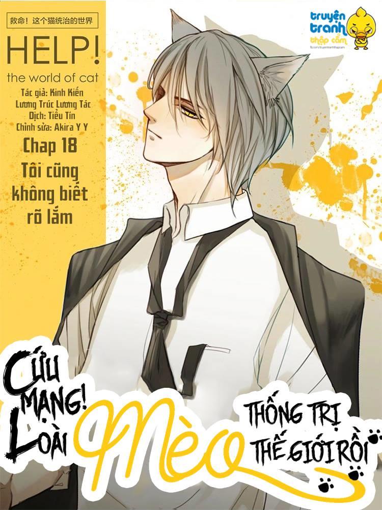 Cứu Mạng! Loài Mèo Thống Trị Thế Giới Rồi! Chapter 18 - Trang 2