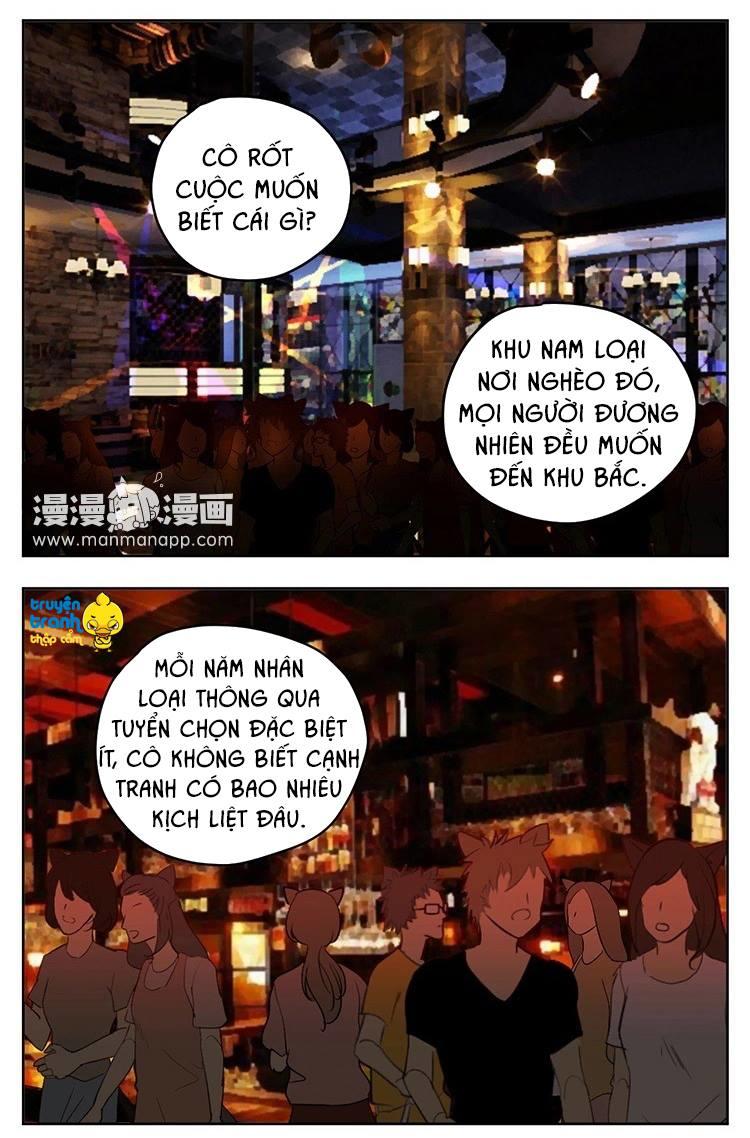 Cứu Mạng! Loài Mèo Thống Trị Thế Giới Rồi! Chapter 18 - Trang 2